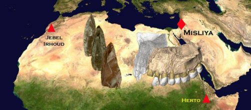 The oldest human fossils outside of Africa have been discovered in ... - adn.com