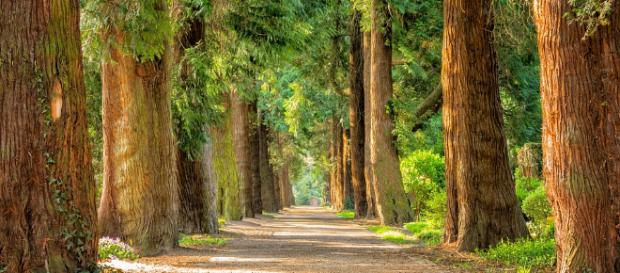 Desviarse del camino y vivir en la incertidumbre puede ocasionar mucho placer... Pero, ¿hasta qué punto es favorable ese tipo de placer? Desviarse del camino y vivir en la incertidumbre puede ocasionar mucho placer... Pero, ¿hasta qué punto es favorable ese tipo de placer?