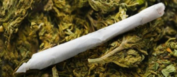 IMAGEN DE REDES SOCIALES. MARIHUANA IMAGEN DE REDES SOCIALES. MARIHUANA