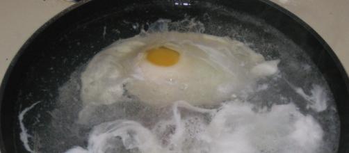 Poached eggs 1 by Stacy Spensley via Flickr