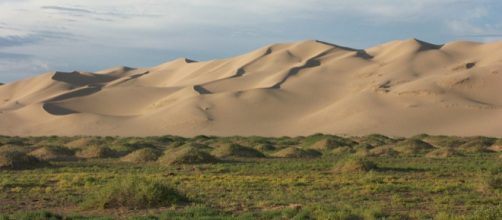 La Muralla verde frente al desierto de Gobi esta creciendo