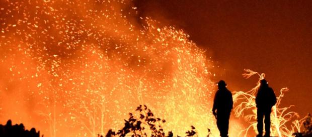 Thomas Fire de California batió récord como mayor incendio forestal en ... - newsweek.com Thomas Fire de California batió récord como mayor incendio forestal en ... - newsweek.com