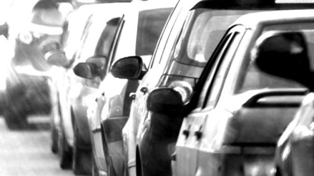 Volkswagen e i test sulle scimmie e cavie umane - report-age.com