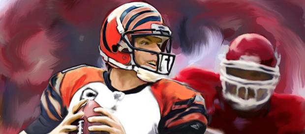 Carson Palmer hangs it up after 15 seasons in the NFL - Jack Kurzenknabe via Flirckr Carson Palmer hangs it up after 15 seasons in the NFL - Jack Kurzenknabe via Flirckr