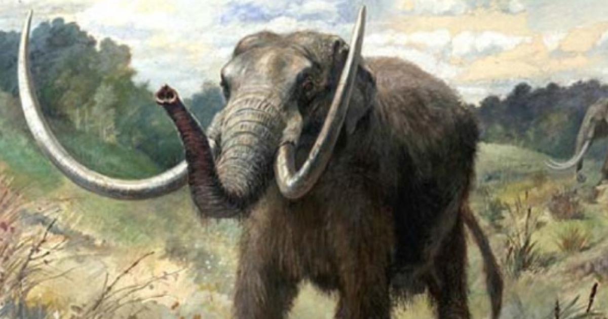 mastodonte productora mexico