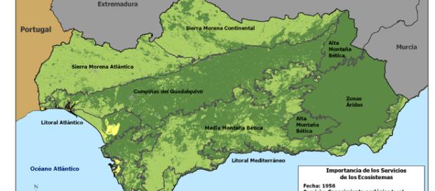 Evaluación de Ecosistemas del Milenio en Andalucía :: Consejería ... - juntadeandalucia.es Evaluación de Ecosistemas del Milenio en Andalucía :: Consejería ... - juntadeandalucia.es