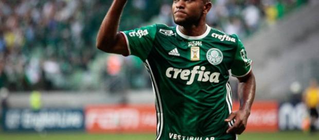 Miguel Borja, centroavante do palmeiras Miguel Borja, centroavante do palmeiras