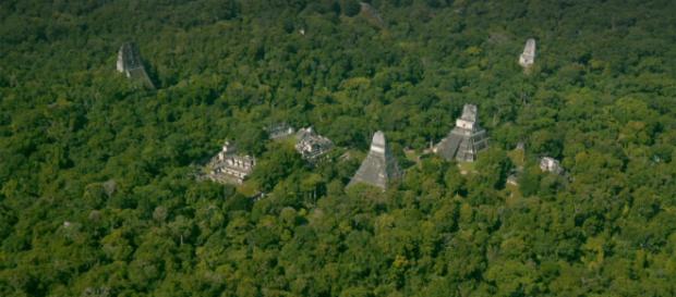 O întreagă rețea de orașe ale unei mari civilizații descoperită în mijlocul junglei cu ajutorul tehnologiei LiDAR O întreagă rețea de orașe ale unei mari civilizații descoperită în mijlocul junglei cu ajutorul tehnologiei LiDAR