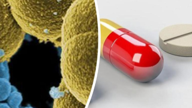 Infezioni resistenti agli antibiotici, allarme Oms: "Nel 2025 un ... - leggo.it