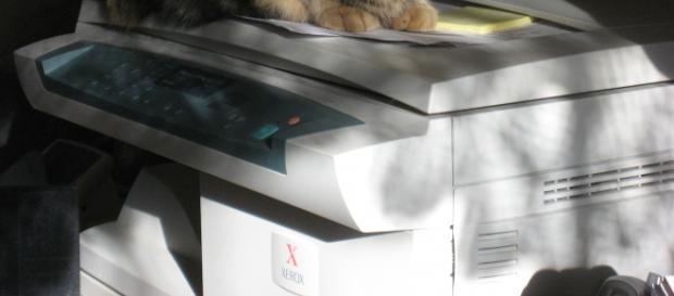 Xerox copier - flickr/mighty free Xerox copier - flickr/mighty free