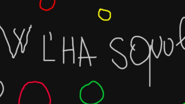 Venezia, maestra a sQuola confusa da cq e doppie