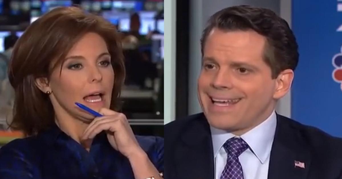 Msnbc Host Rips Anthony Scaramucci To His Face Over Steve Bannon Oral Sex Remark 3168