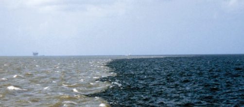 Ocean dead zone in Gulf of Mexico [Image credit: Gabriella Ibarra via Flickr]