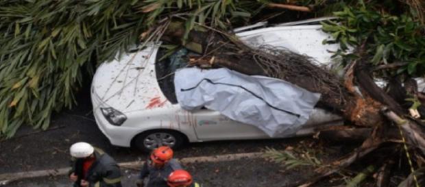 Cantor de moda sertaneja foi atingido por árvore. Mulher também estava em carro. Cantor de moda sertaneja foi atingido por árvore. Mulher também estava em carro.