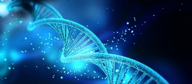 DNA evidence led scientists to discover where the first Americans came from. Image credit: Nogas1974/Wikipedia Commons. DNA evidence led scientists to discover where the first Americans came from. Image credit: Nogas1974/Wikipedia Commons.