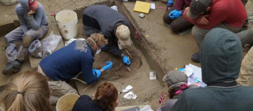 Excavations at the Upward Sun River archaeological site in Alaska [Image credit: Ben Potter]
