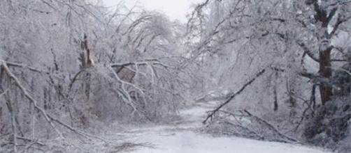 three-strange-facts-about-the-winter-storm-of-2018