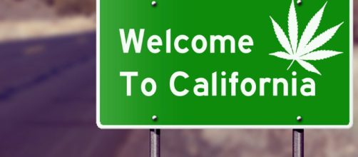 La California diventa il più grande e popoloso stato degli USA a legalizzare la cannabis