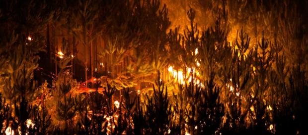 Chile: volviendo a construir resistencia productiva luego de los ... - blogspot.com Chile: volviendo a construir resistencia productiva luego de los ... - blogspot.com