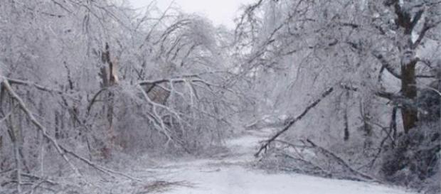 Frigid weather affects the Sunshine State. The Weather Channel - weather.com Frigid weather affects the Sunshine State. The Weather Channel - weather.com