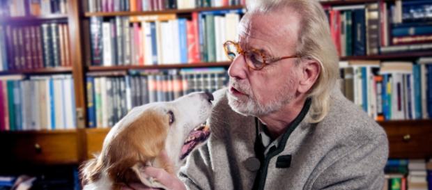 ¿Qué significa soñar con animales domésticos que hablan? ¿Qué significa soñar con animales domésticos que hablan?