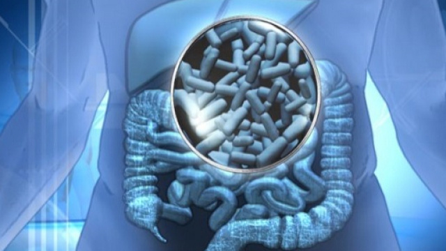 Quando il trapianto di feci può salvare la vita