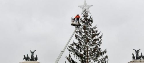 Spelacchio, l'albero di Natale più famoso al mondo.