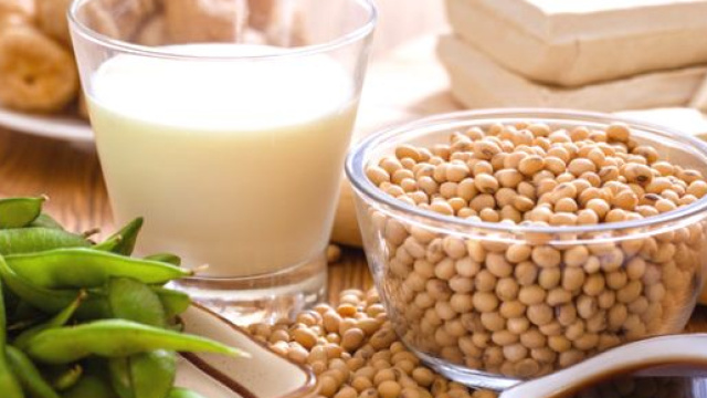 Soia e derivati hanno un'azione protettiva sulle cellule del nostro organismo.