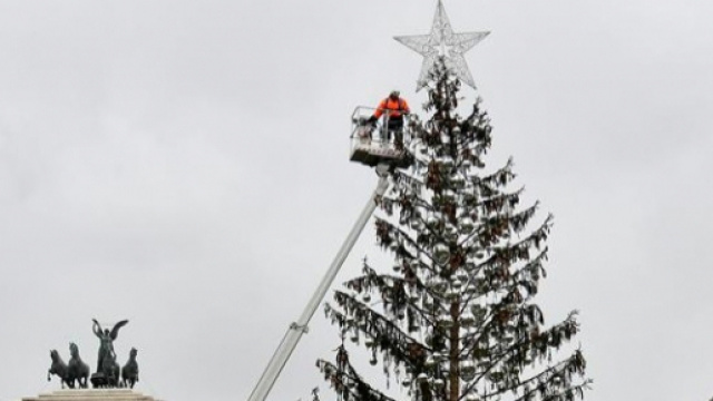 Spelacchio, l'albero di Natale pi&ugrave; famoso al mondo.