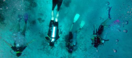 Scuba Divers are an adventurous lot who explore a habitat unnatural to humans. (Photo via morguefile.com)