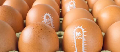Uova fresche contaminate e ritirate dal mercato perchè dannose