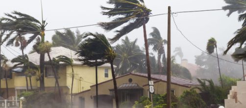États-Unis : ce qu'il faut savoir sur l'ouragan Michael