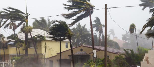 États-Unis : ce qu'il faut savoir sur l'ouragan Michael États-Unis : ce qu'il faut savoir sur l'ouragan Michael