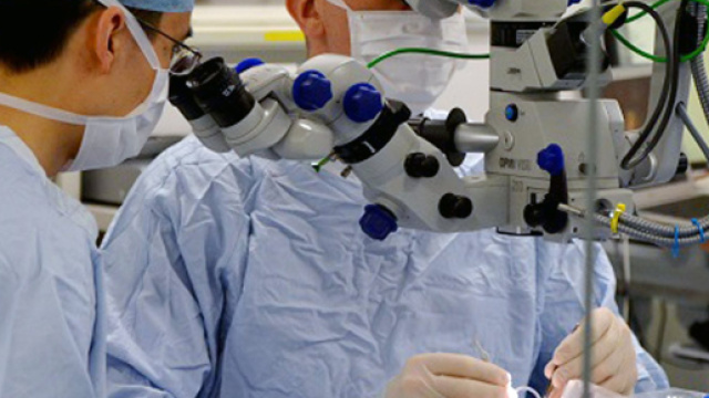 Pazienti affetti da Choroideremia tornano a vedere grazie ad una terapia genica