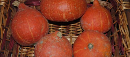 La zucca e le sue principali proprietà