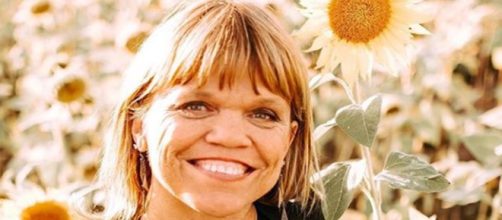 Little People, Big World Amy Roloff tells fans she's not wearing an engagement ring - Image credit - amyjroloff | Instagram