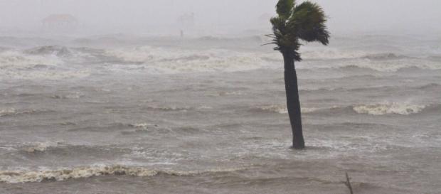 BAJA CALIFORNIA SUR/ La tormenta tropical Sergio toca tierra con vientos de 75 km por hora BAJA CALIFORNIA SUR/ La tormenta tropical Sergio toca tierra con vientos de 75 km por hora