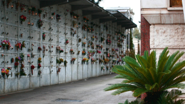 'Esplode' una bara: impraticabile il cimitero di Lecce per l'odore nauseabondo.