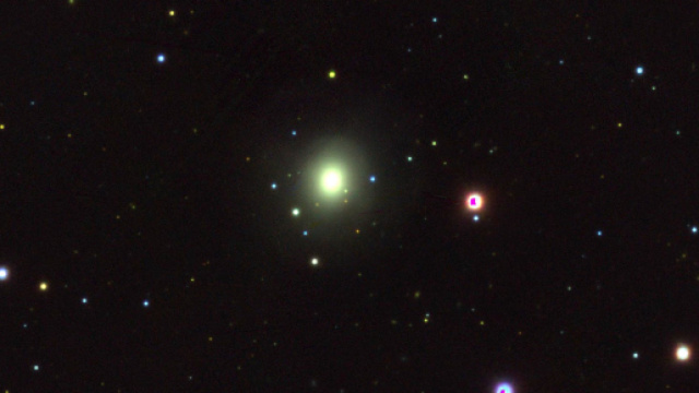 oroscopo per tutti i segni dello zodiaco