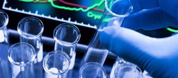 Assunzioni Roche, Chiesi, Farmapiù: invio domande a ottobre-novembre 2018 Assunzioni Roche, Chiesi, Farmapiù: invio domande a ottobre-novembre 2018