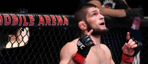 There are many questions surrounding the MMA world right now over who the real Khabib is. image - fansided.com
