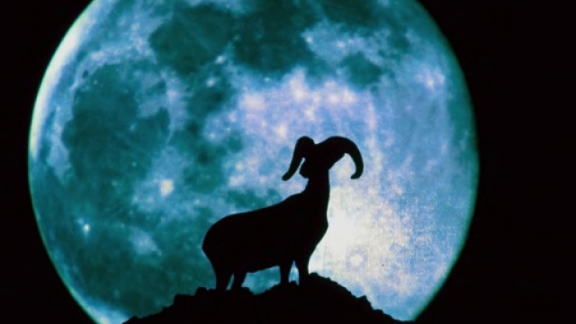 Oroscopo di domani 22 ottobre 2018 | La Luna transita in Ariete: previsioni e astrologia per il lunedì d'inizio settimana