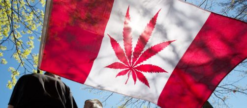 Canada, entrata in vigore la legge sulla legalizzazione della cannabis