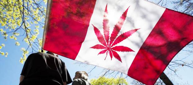 Il Canada ha legalizzato la marijuana per scopi ricreativi Il Canada ha legalizzato la marijuana per scopi ricreativi