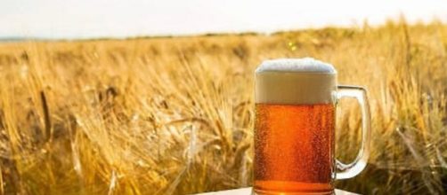 Birra rara e costosa in un futuro più caldo