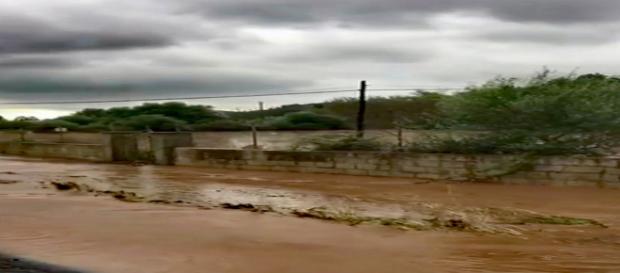 Inundaciones en el torrente de Port Pollença Inundaciones en el torrente de Port Pollença