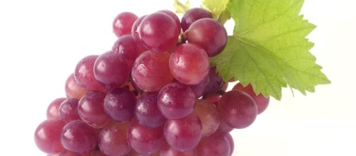 Una molecola preziosa in un chicco d'uva: il resveratrolo.