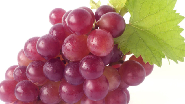Una molecola preziosa in un chicco d'uva: il resveratrolo.