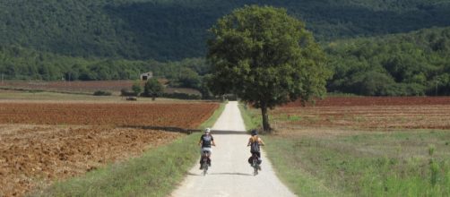 Uno scorcio della Via Francigena