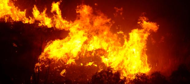 Riccione, pensionato nasconde i soldi nel garage: un incendio brucia le banconote. Riccione, pensionato nasconde i soldi nel garage: un incendio brucia le banconote.